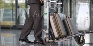 Image of luggage carrier 300x150